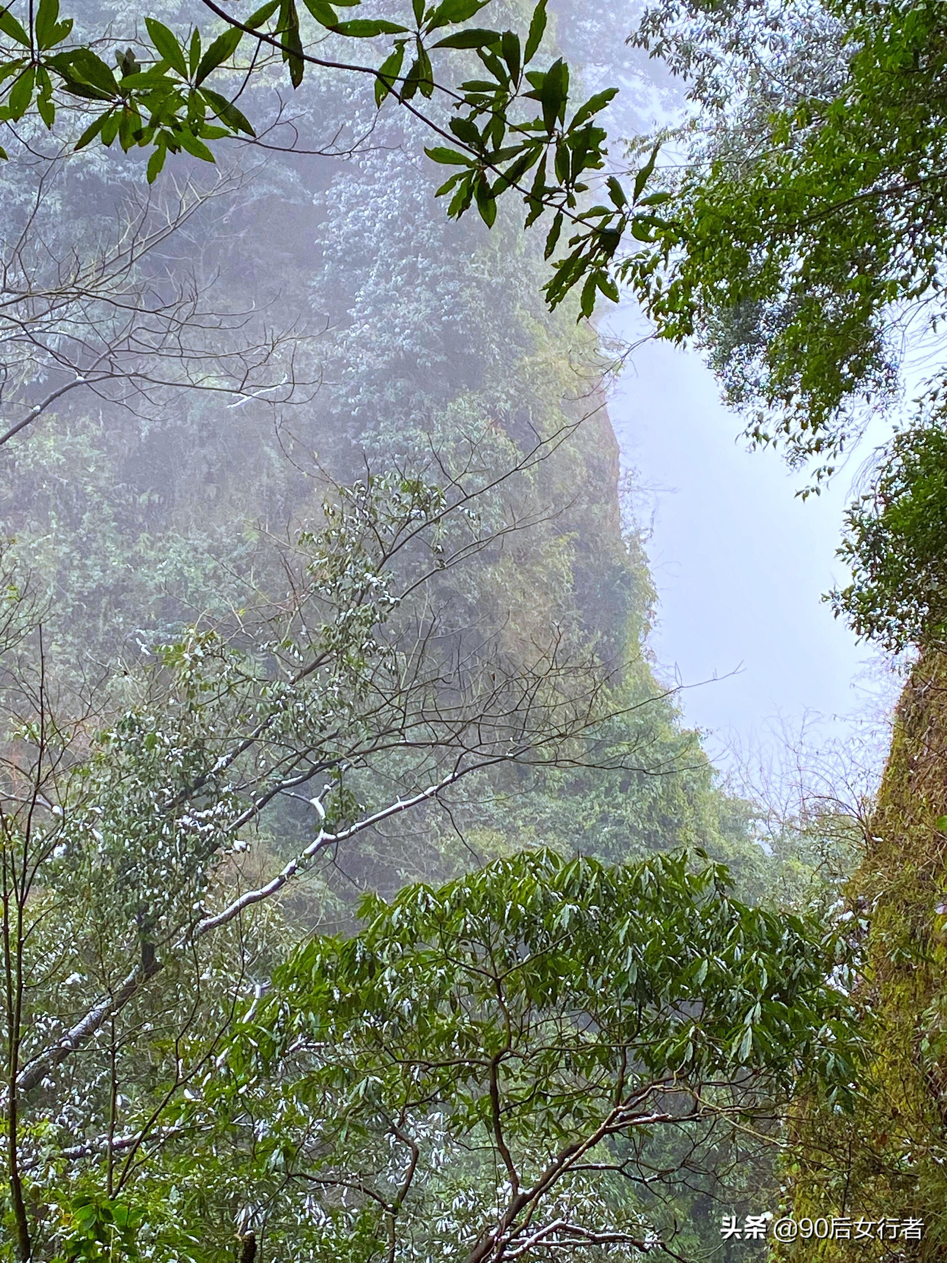 下雨天去拜访师傅合适吗,雨天去青城山
