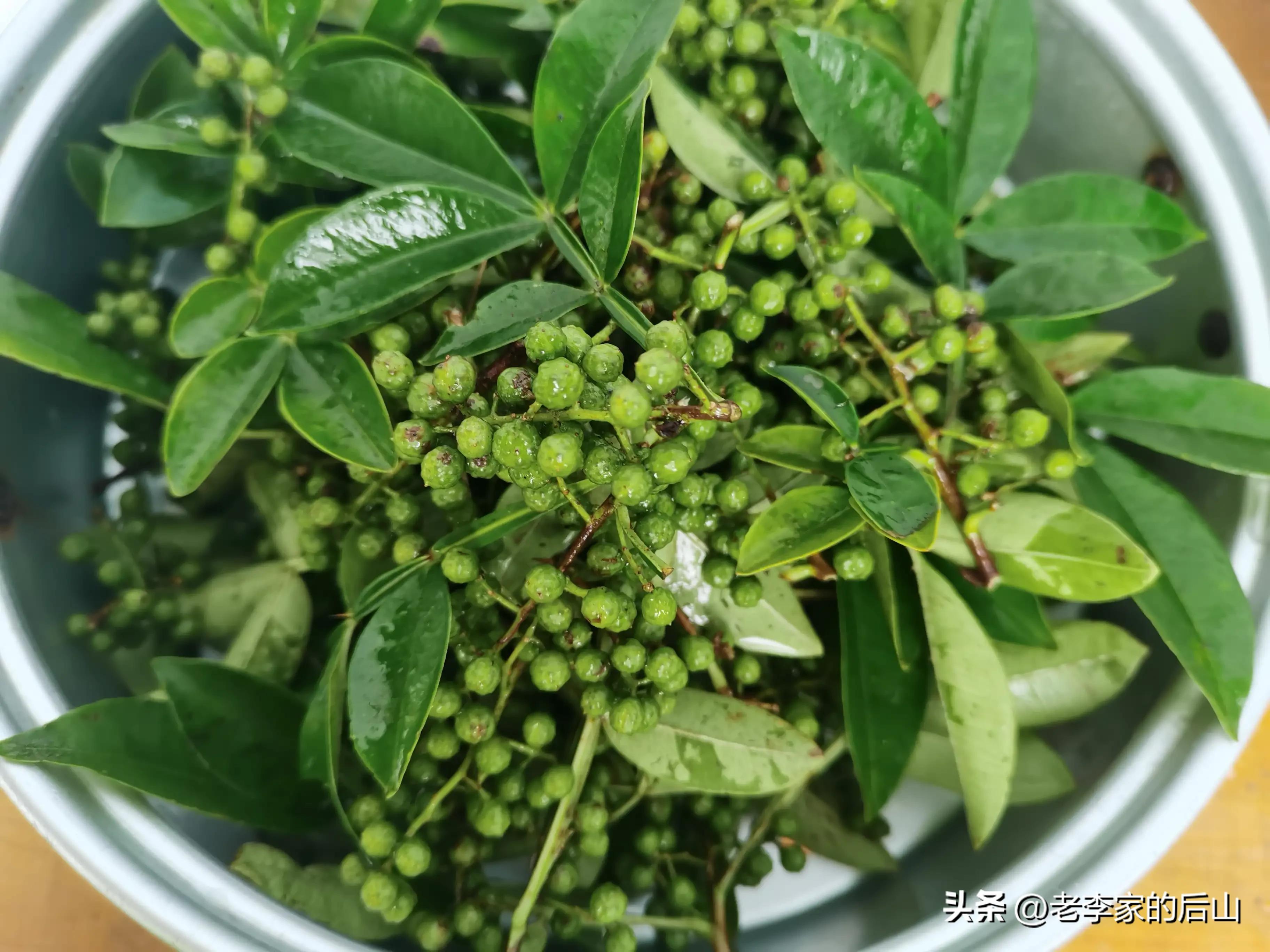 保鲜青花椒冷冻后怎么清洗干净,青花椒保鲜法