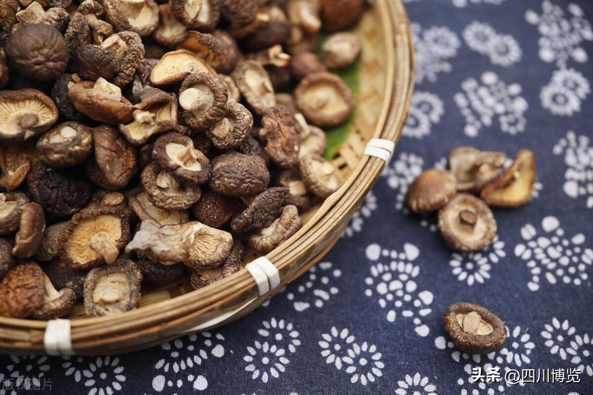 成都美食节最后两天欢迎品尝,成都市端午食博会