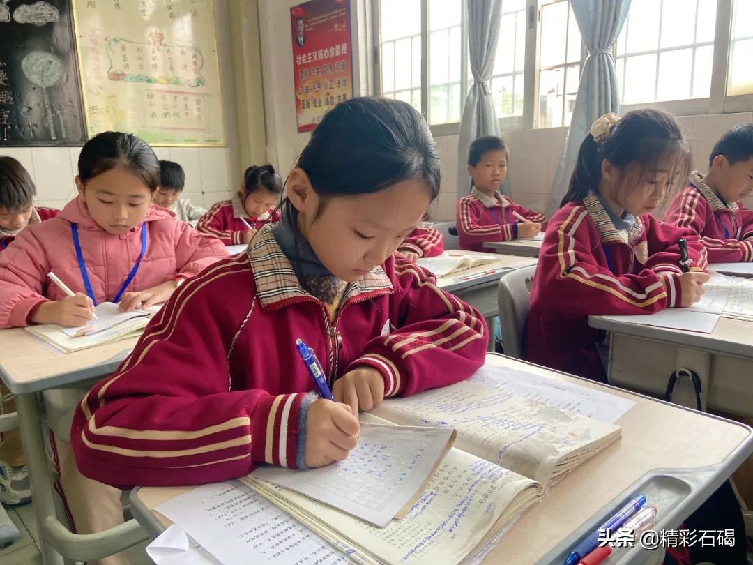 东莞石排四海学校招生,石碣四海学校