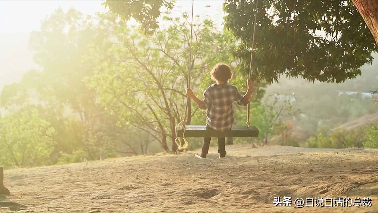 达芬奇一生最大的成就有哪些,达芬奇真实的故事