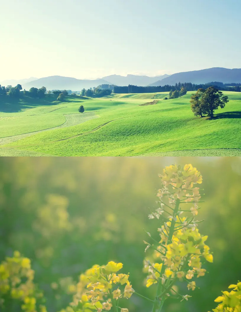 两张图片怎样合成一张用什么软件,两张图片怎样合成一张左右拼图