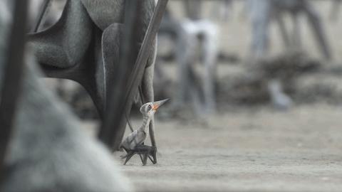 孩子暑期提高英语电影,适合孩子提高英语看的电影