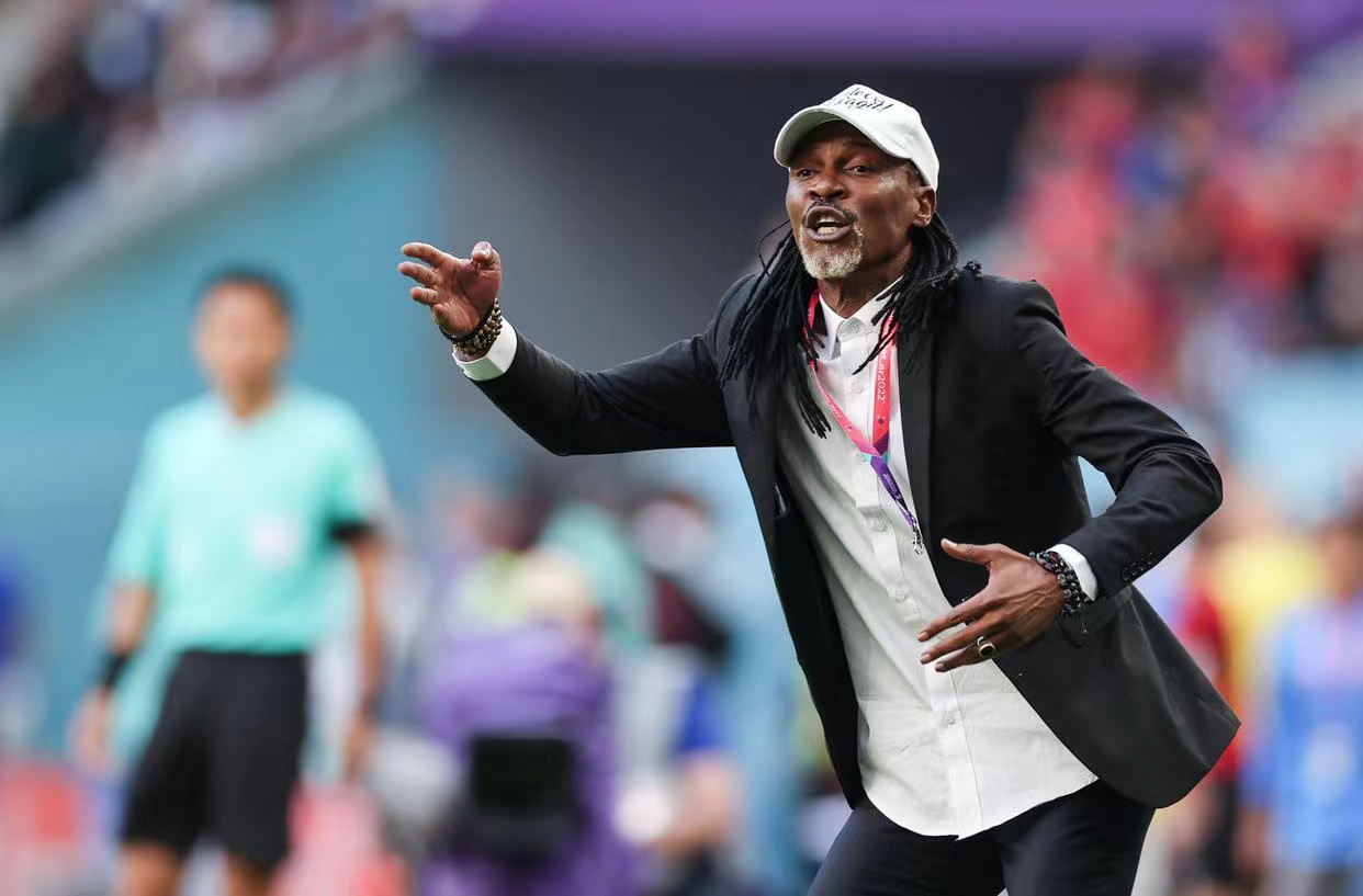 伪球迷看球攻略,伪球迷世界杯看球