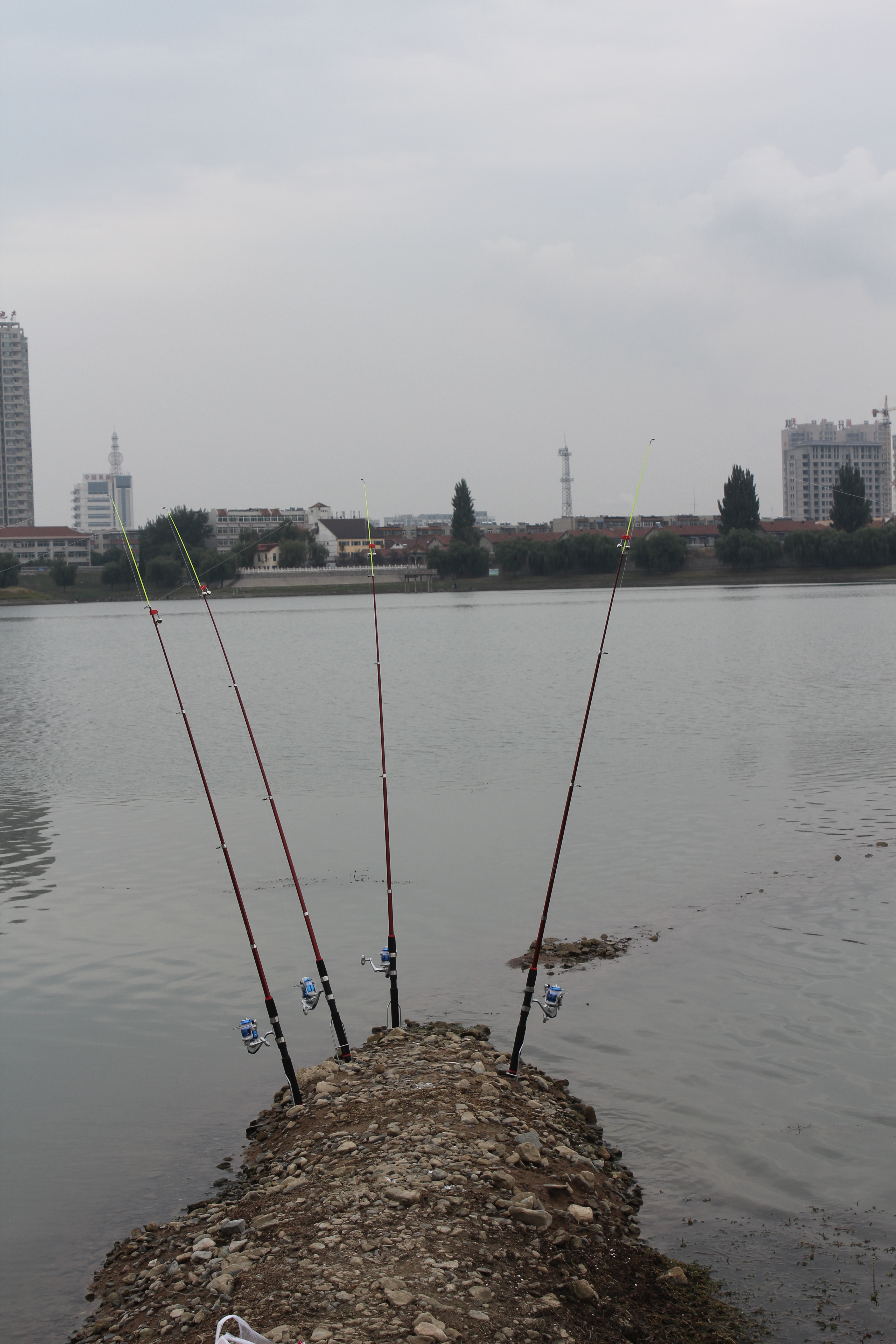 新手钓鱼入门基本知识,水库钓鱼技巧新手入门