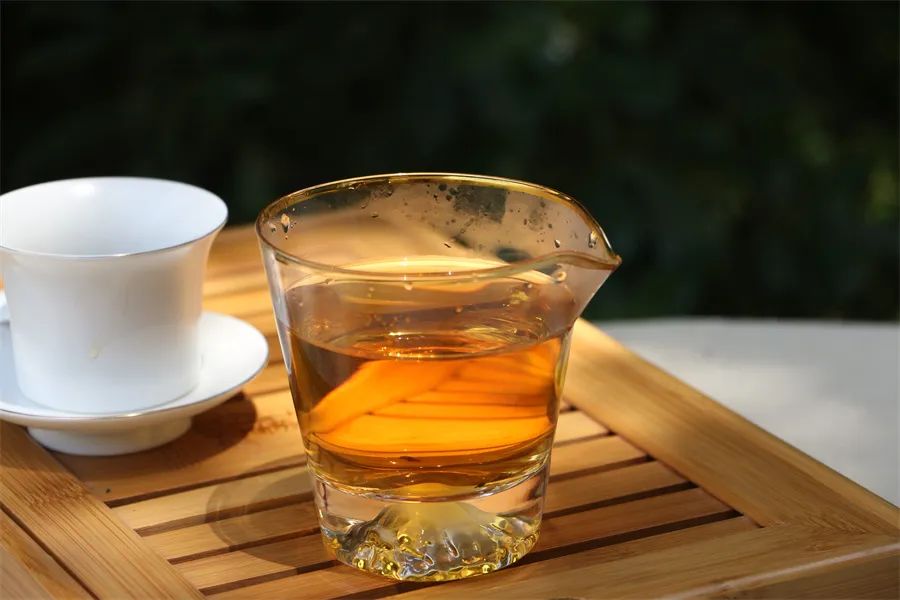 新手喝茶，该挑哪些茶？