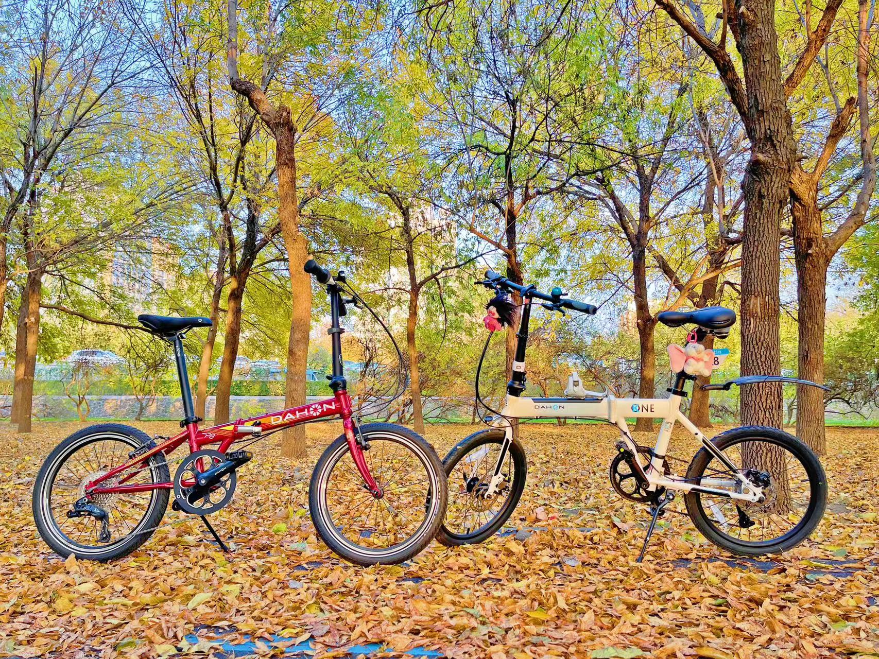 dahon大行16英寸,dahonp8折叠自行车和p8青春版