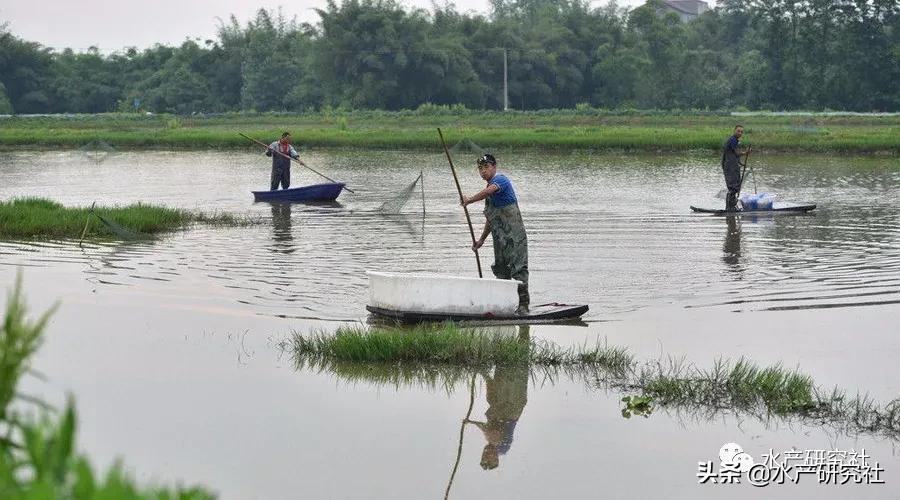 如何看水质好坏,怎样分辨水质好坏