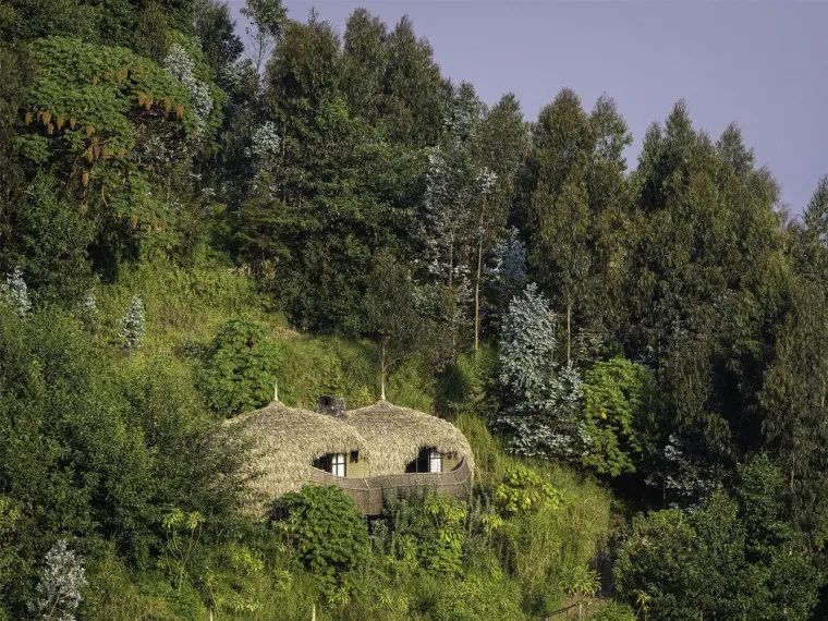 设计感超强的民宿度假屋,木屋度假屋设计