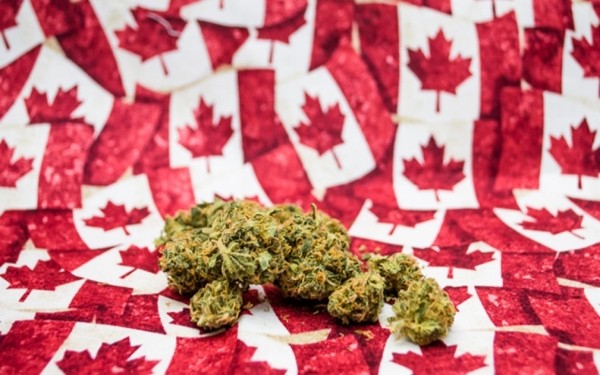 加拿大抗疫措施升级,加拿大安省防疫将出新规