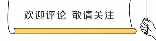 历史上的捷克现状,捷克的现实状况