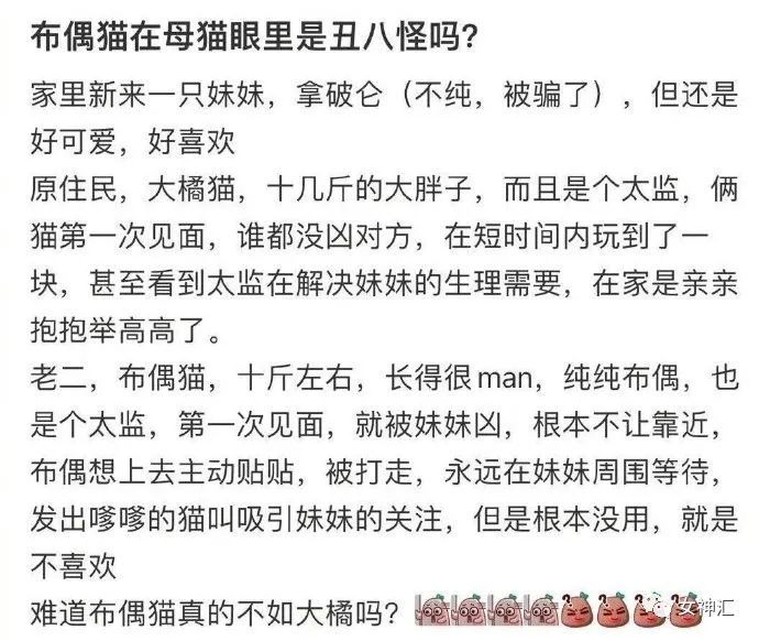 试穿绿色连裤袜,网购了一条金色的丝袜