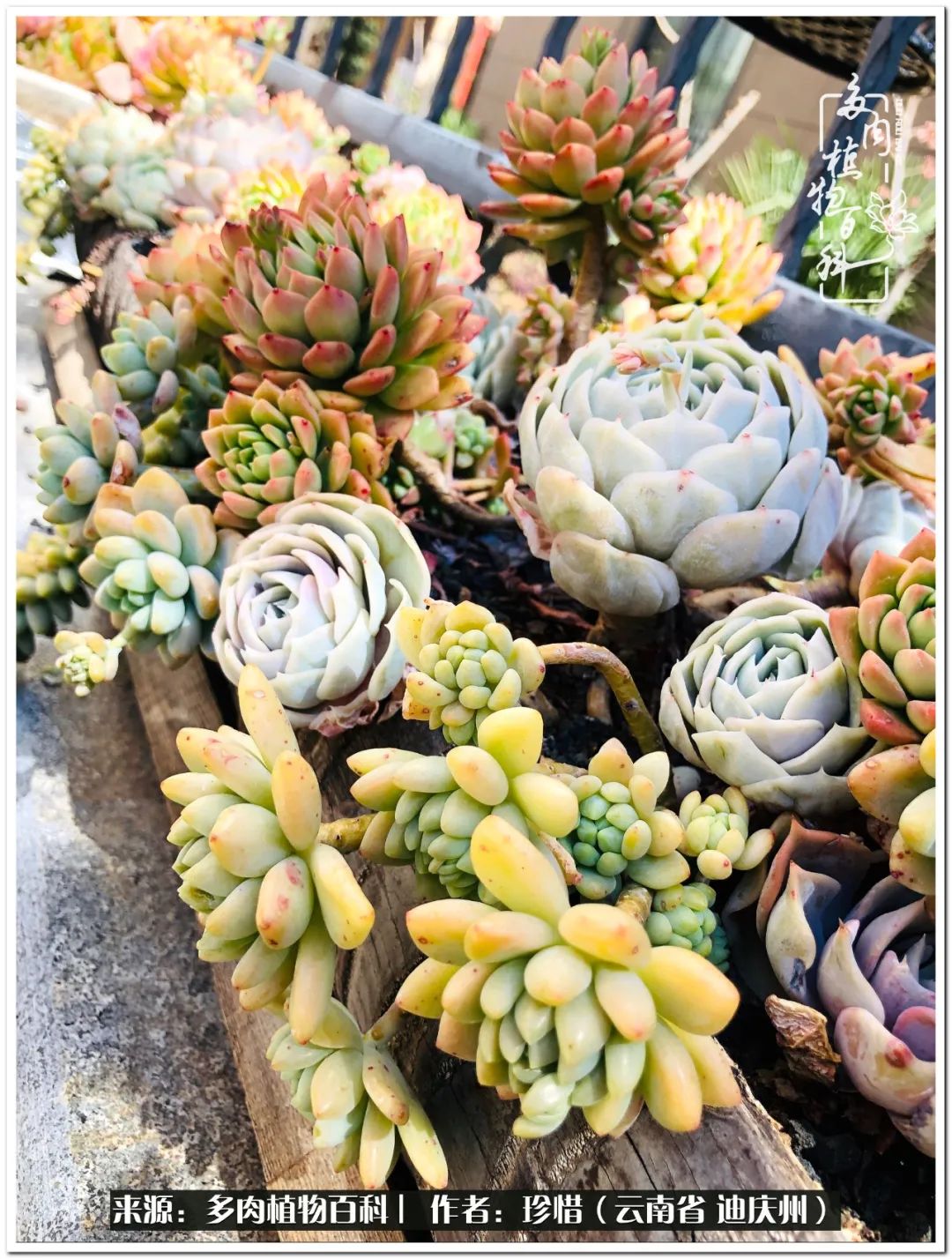 给生命一份淡然还岁月一份从容,给生命留一份洒脱的话