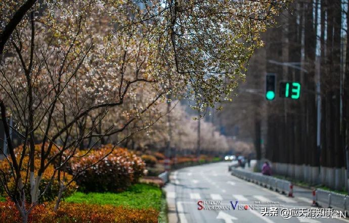 桃叶渡、乌衣巷、白鹭洲……南京那些绝美地名