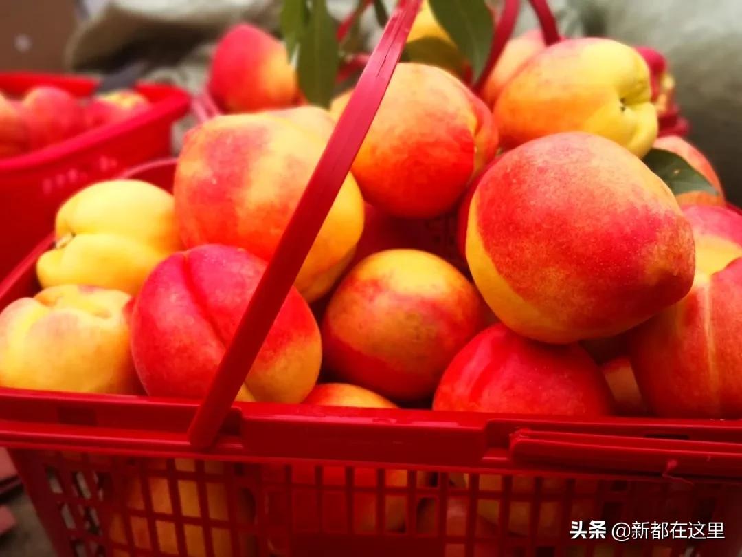 邂逅香城，在新都必做的50件小事~