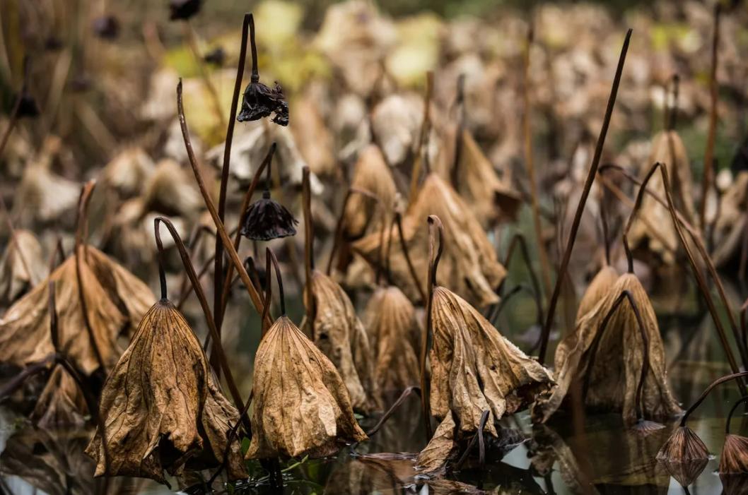 碳基生命与硅基生命对比视频,从碳基生命到硅基生命时间表