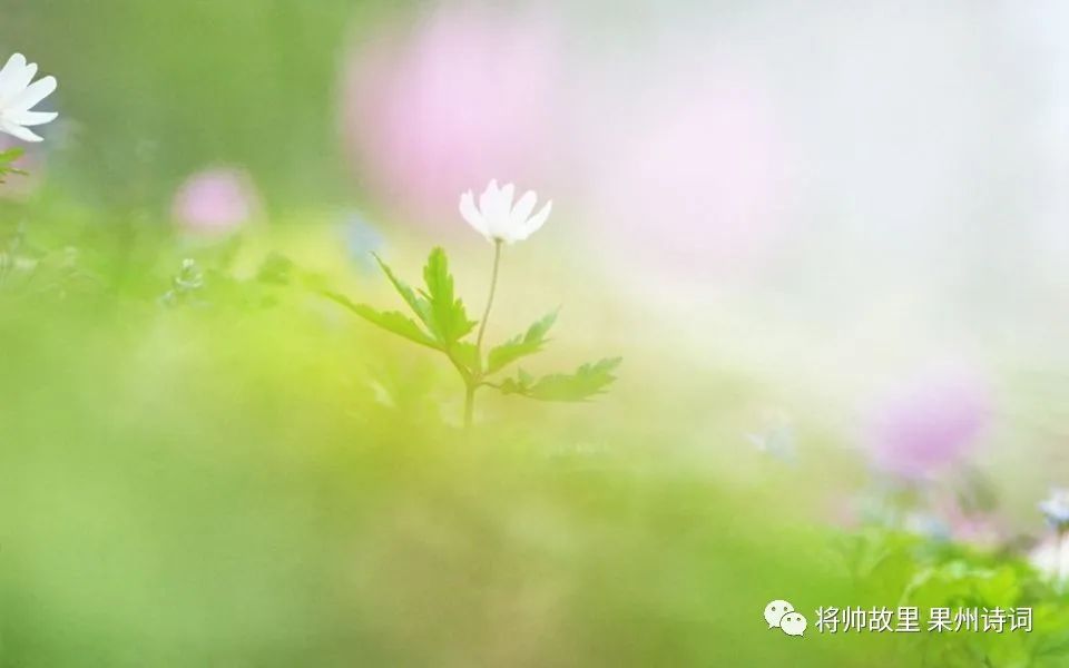 《将帅故里——果州诗词》第6期