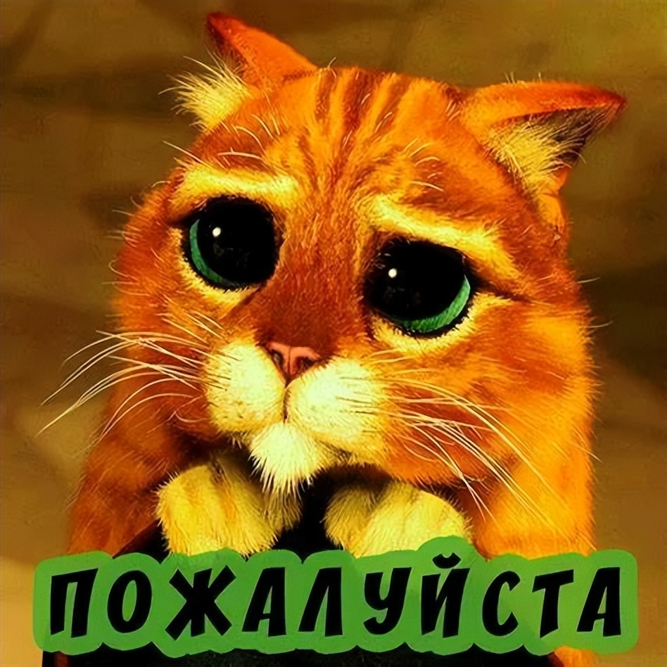 每日一句每天只能听一句吗,葡萄牙语最近还好吗