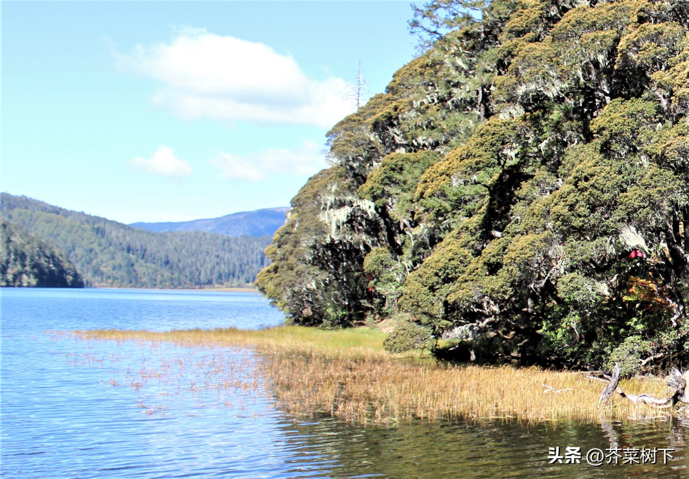璁╀綘瑙夊緱low鐨勪汉,鐪熸鐨刲ow鐨勪汉