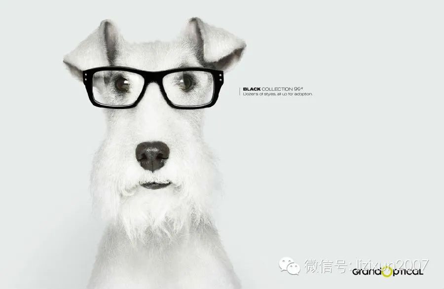普通眼镜怎么拍广告才好看,有逼格的眼镜广告