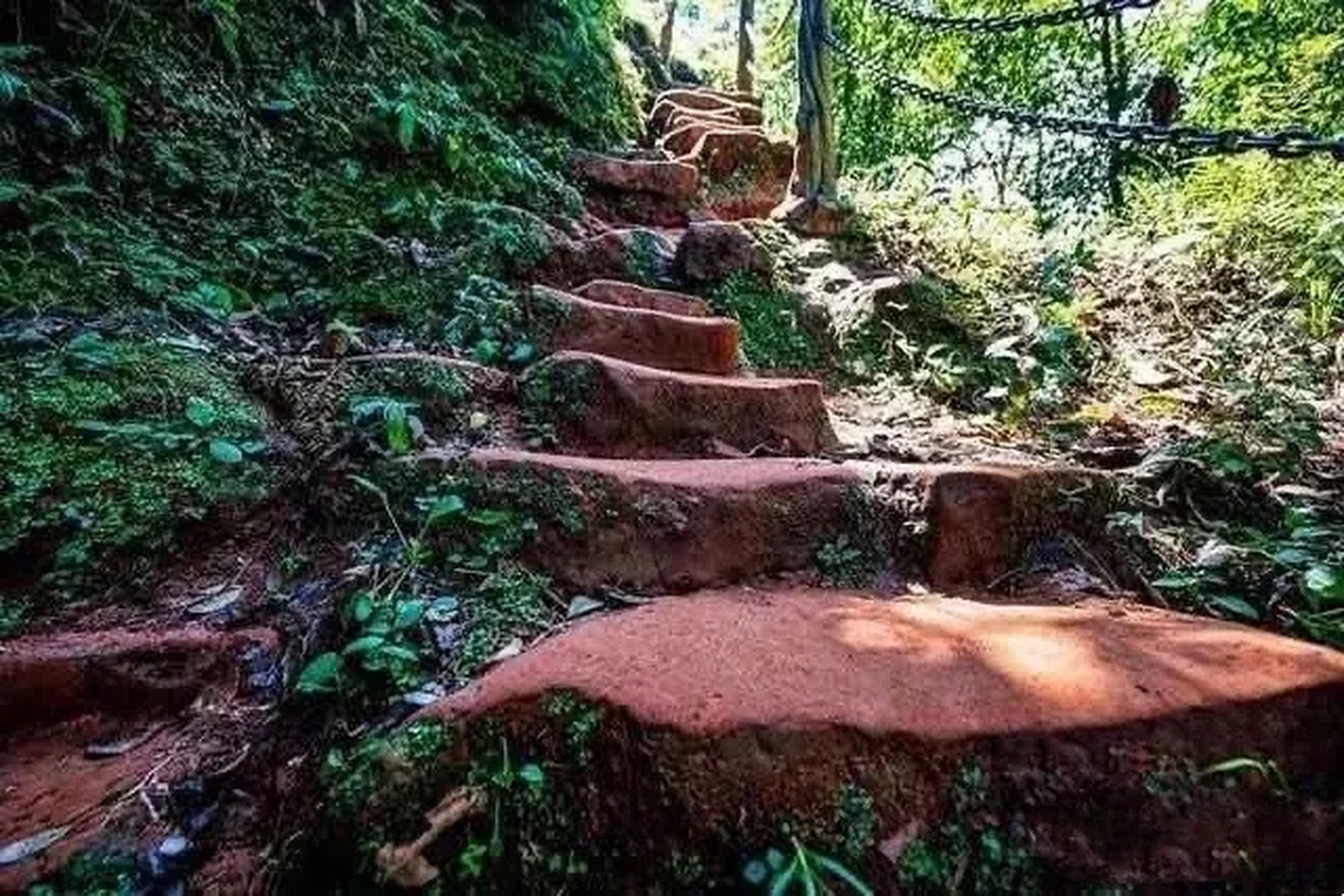 19岁小伙和寡妇私奔50年,19岁小伙与寡妇私奔50年完整版