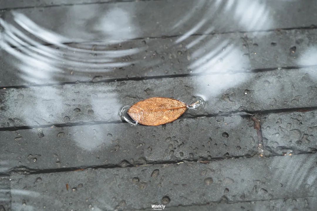 29岁深圳女孩：在“性学”门诊上班，看见产后女性的隐秘困境