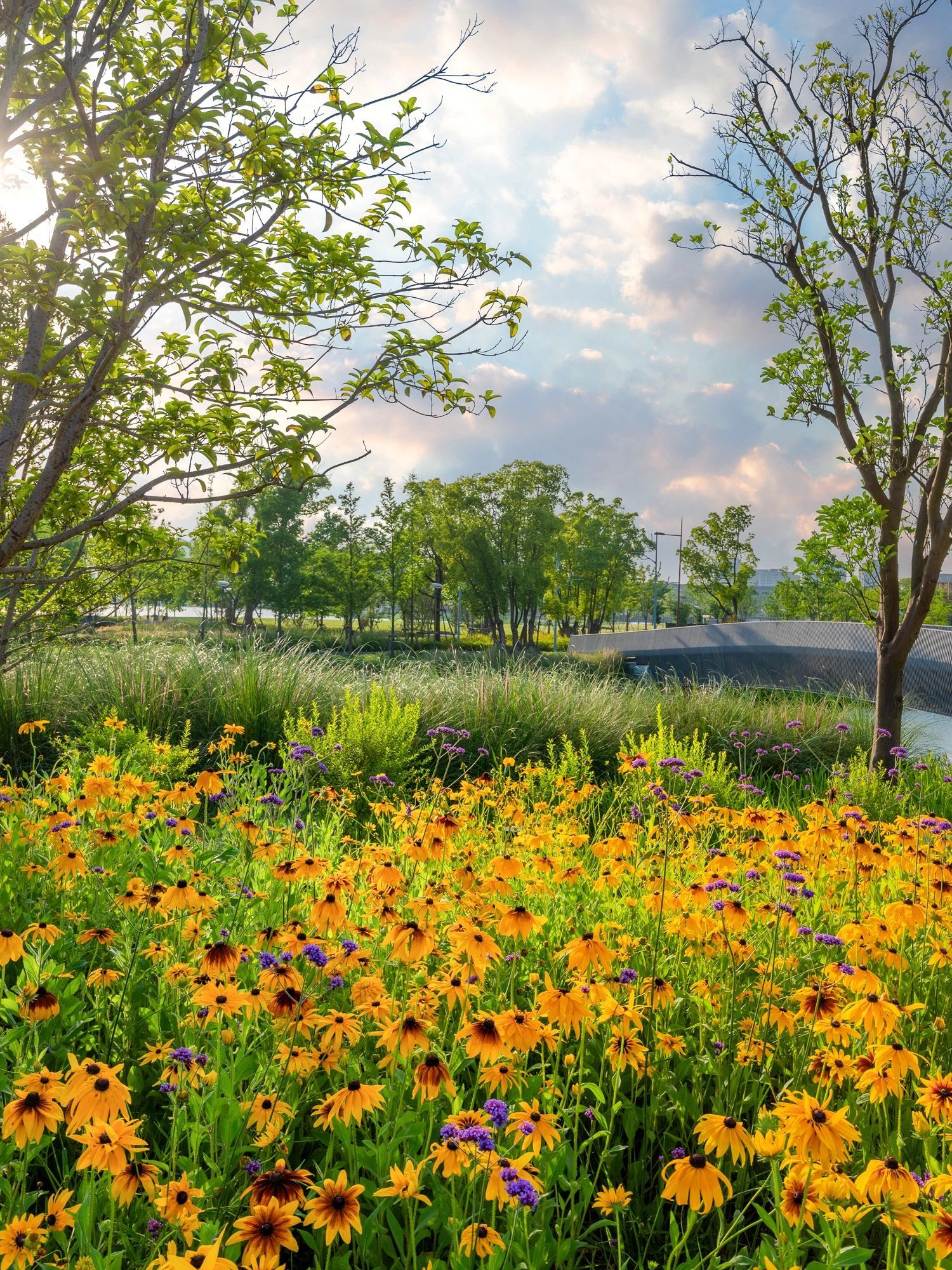 上海二月份免费打卡地,上海即将上线的打卡地