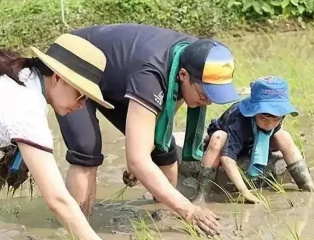 郭晶晶下嫁霍家意味着什么,郭晶晶下嫁霍家是谁说的