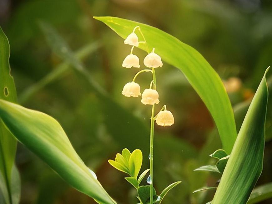 拥有超强直觉能力的三大星座,具有超强洞察能力的星座