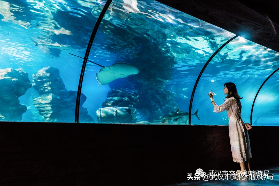 不出武汉旅游推荐,五一不出武汉三日游适合去哪里