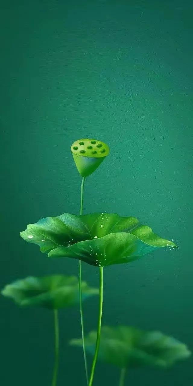 华为壁纸绿色护眼图片大全高清,绿色护眼壁纸高清全屏手机锁屏