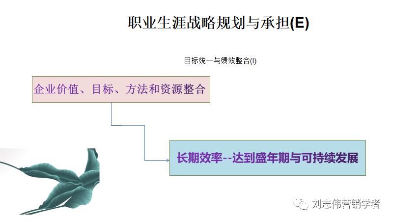 员工职业生涯规划ppt模板,职业生涯规划课件完整版ppt