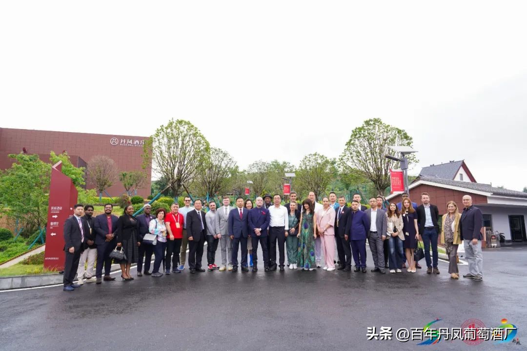 2024第五届丹凤西部红酒节,2024丹凤红酒节