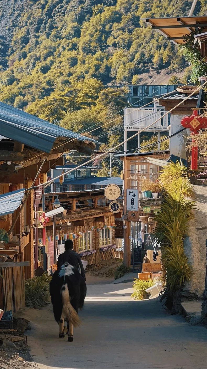 9月旅行地推荐最适合初秋出游,9月旅游最佳地方国内3-5天