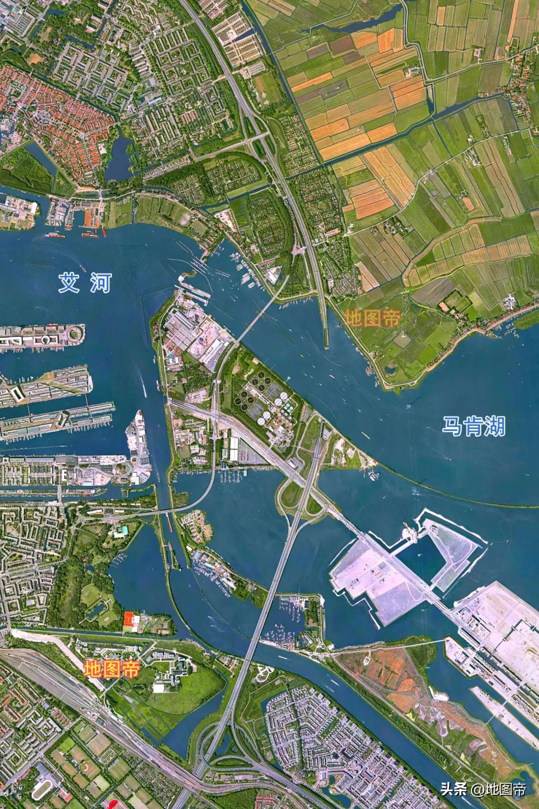 荷兰无冕之王什么意思,荷兰无冕之王