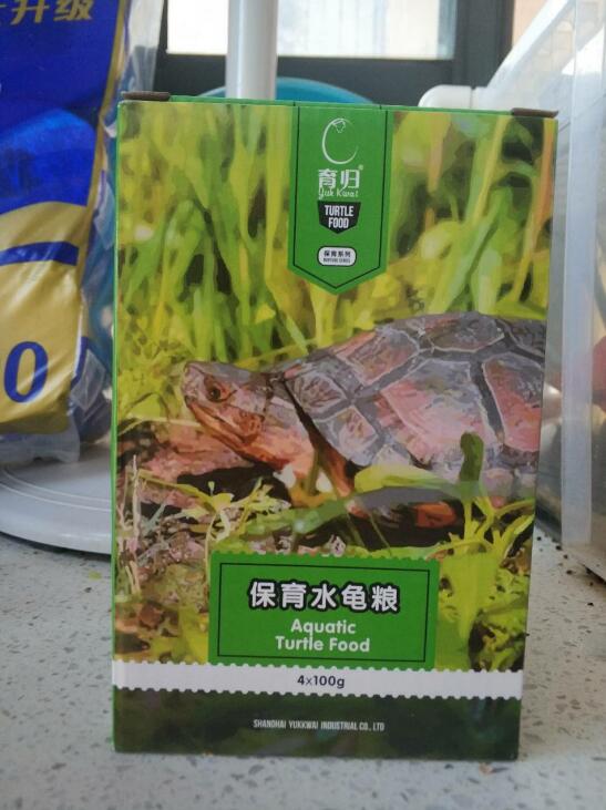 龟所有用品,新手养龟用品