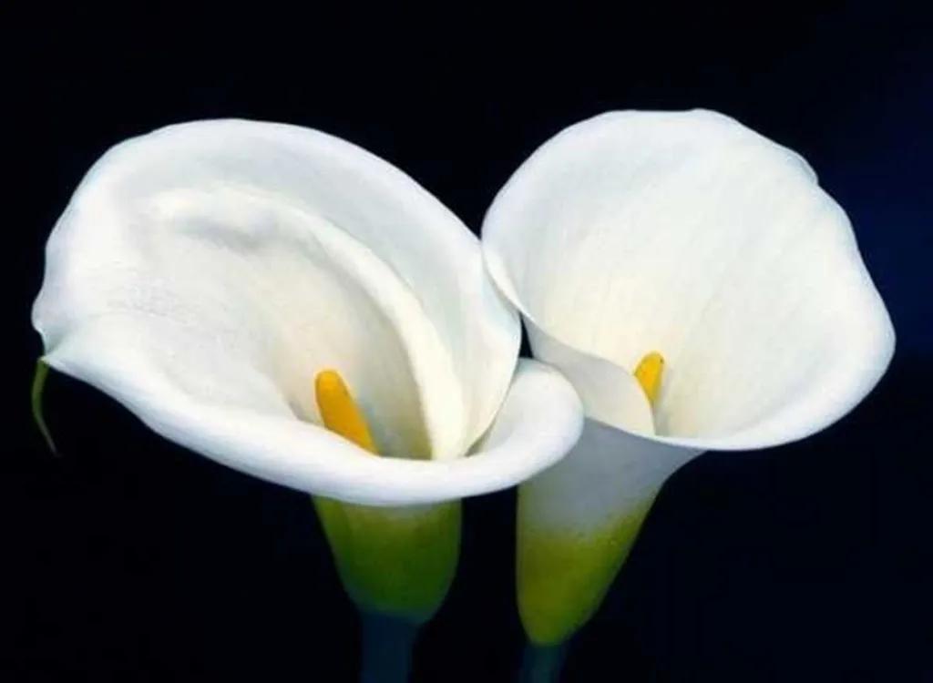 女性私护产品的缺点,女性私护警示