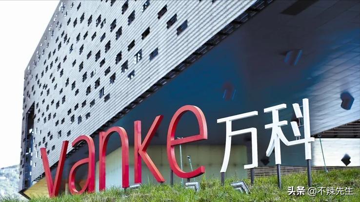 中国房地产业龙头万科集团,中国房地产百强企业