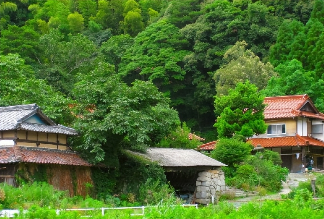 21年湖北男子花10万买洋媳妇，生下女儿上户口，警方：你被捕了