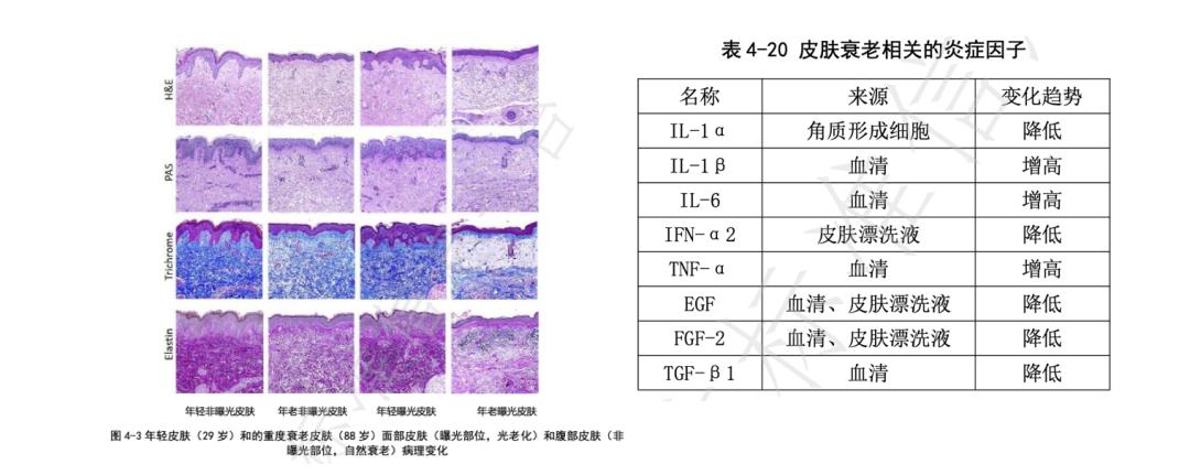 李佳琦offer第二季最新,李佳琦抗皱保湿