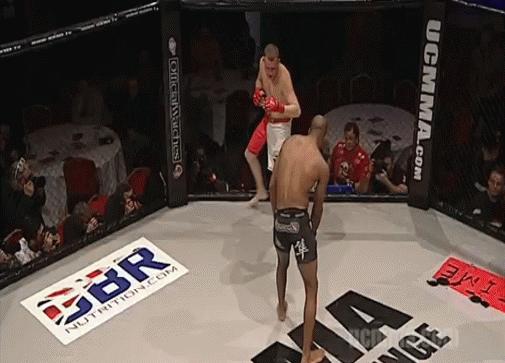 真实大象图片大全可爱,真实野生大象图片