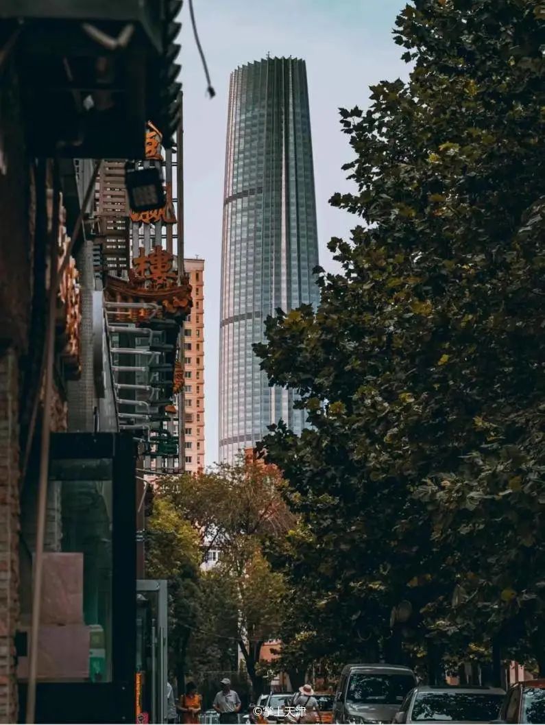 天津和平药业有限公司,天津和平有限公司