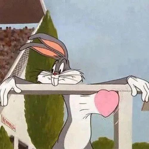 兔八哥头像搞笑,兔八哥头像简笔画