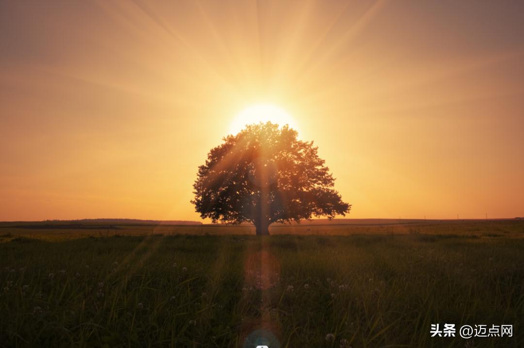 从泊寓的崛起，看万科的“长期主义”