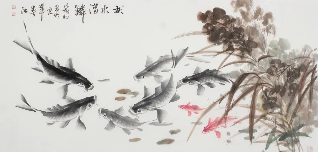 中国四大家鱼是哪四大家鱼,四大家鱼是指哪四大家鱼