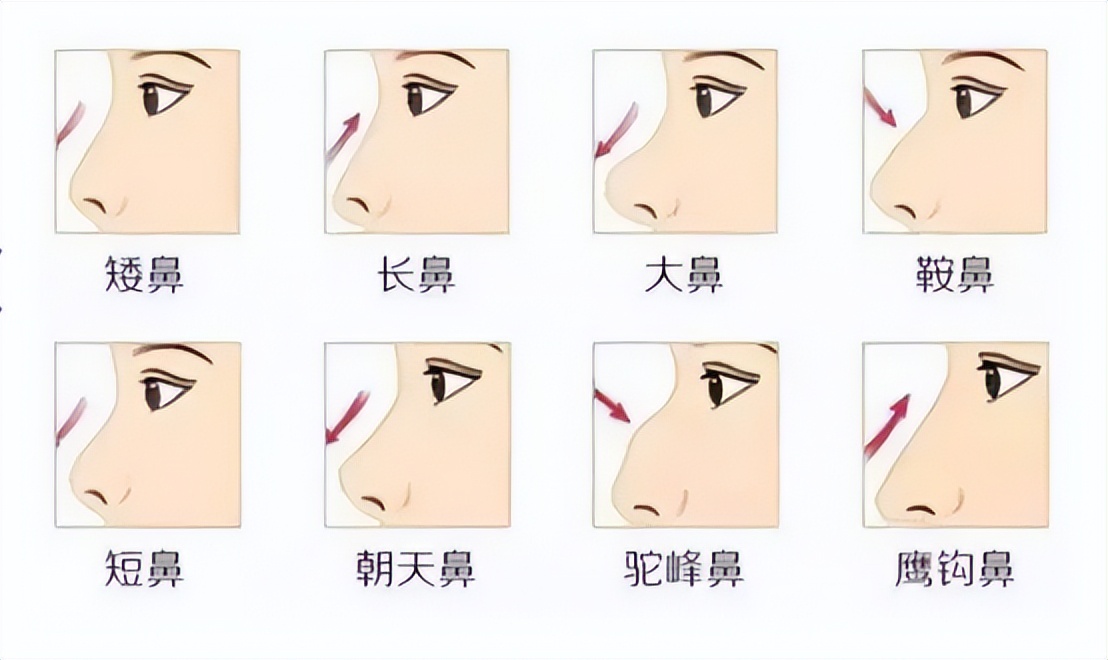 陈国成：鹰钩鼻好看吗？为什么有人奸险阴沉，有人却貌美帅气