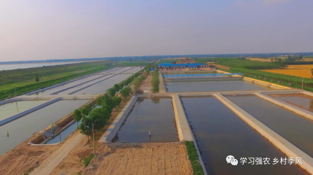 建筑老板养泥鳅，跻身“农民合作社500强”