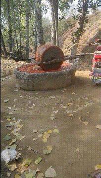 姑娘看起来外表美丽，其实裤袜已经掉到大腿根了！场面一度很尴尬