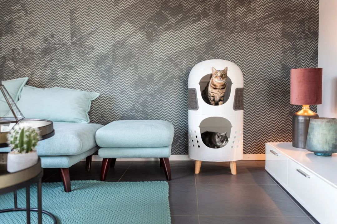 2022年iF设计奖：宠物用品类