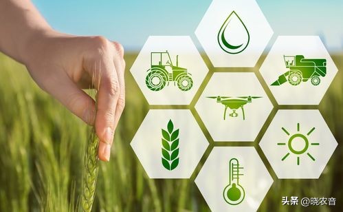 农业补贴致富项目,农业致富项目有哪种